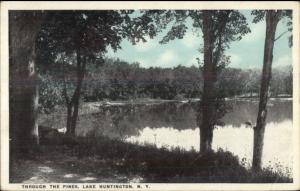 Lake Huntington NY Thru the Pines c1920 Postcard