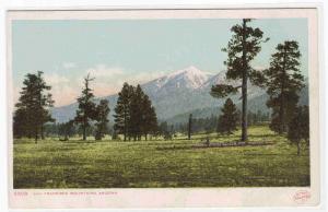 San Francisco Mountains Flagstaff Arizona Detroit Pub postcard