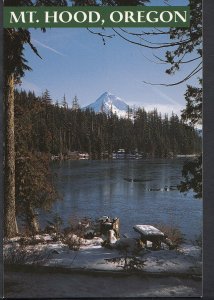America Postcard - Winter Snow on Shore of Lost Lake, Mt Hood, Oregon B2575