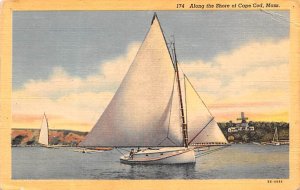 Shore of Cape Cod Sail Boat - Cape Cod, Massachusetts MA  