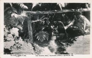 RPPC Wishing Well at Nathania Springs - Monbulk, Victoria, Australia