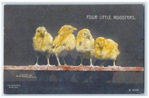 1907 Four Little Roosters Rotograph Buffalo NY RPPC Photo Antique Postcard