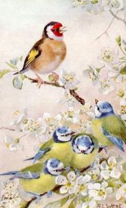 Beautiful Birds   Artist Signed: A.L. West