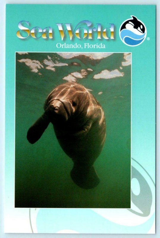 3 Postcards ORLANDO, Florida FL ~ SEA WORLD Dolphin, Manatee, Walrus ~ 4x6 