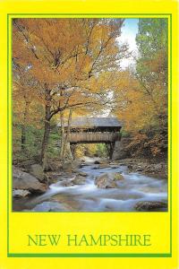 B87902 covered bridge pemi river franconia notch  new hampshire usa