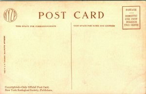 Vtg Postcard 1910s New York NY Zoological Park Large Bird House NYZP Unused