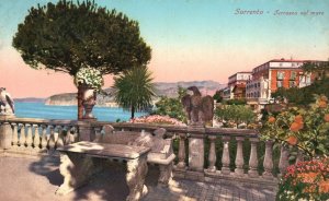 Vintage Postcard Terrazza Sul Mare Terrace Overlooking the Ocean Sorrento Italy