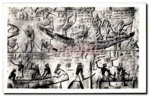 Postcard Modern Egypt Egypt Saqqara Tomb of Ti