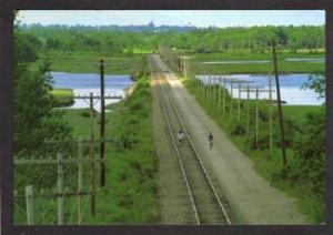 ME Marsh & Coastal Railway SCARBOROUGH MAINE Postcard