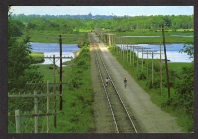ME Marsh & Coastal Railway SCARBOROUGH MAINE Postcard