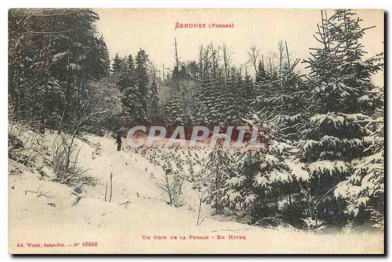 Old Postcard Senones Vosges A corner of the Fairground in winter