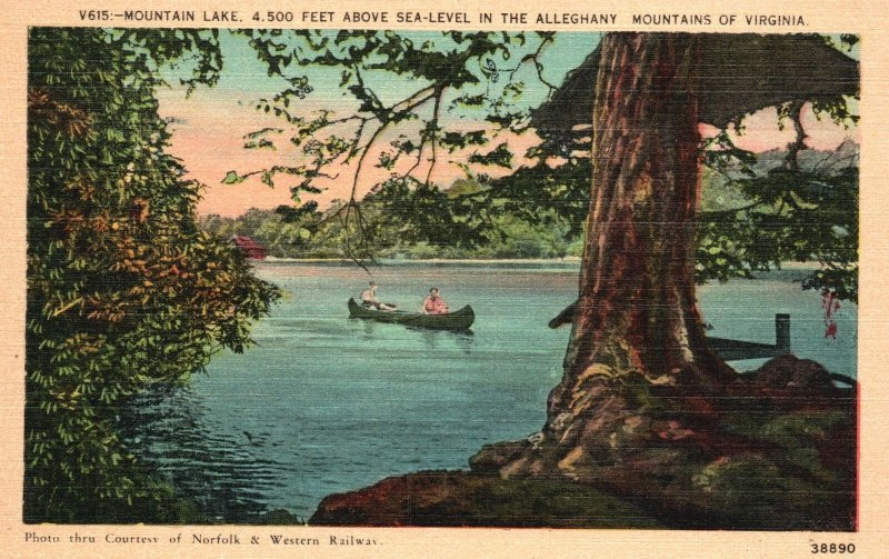 Alleghany Mountains VA-Virginia, Mountain Lake Above Sea Level Vintage Postcard