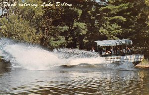Duck Entering Lake Delton - Wisconsin Dells, Wisconsin WI