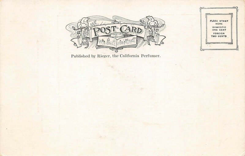 LPA74 San Francisco California Mutual Bank Building Fire Postcard 