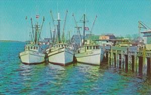 Florida Fernandina Beach Shrimp Boats At The Dock