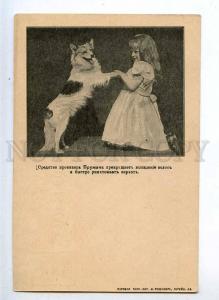 232028 RUSSIA ADVERTISING Pruzhana stops loss hair COLLIE DOG