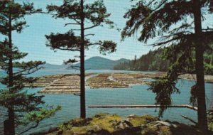 Canada Log Booming Grounds Vancouver Island British Columbia