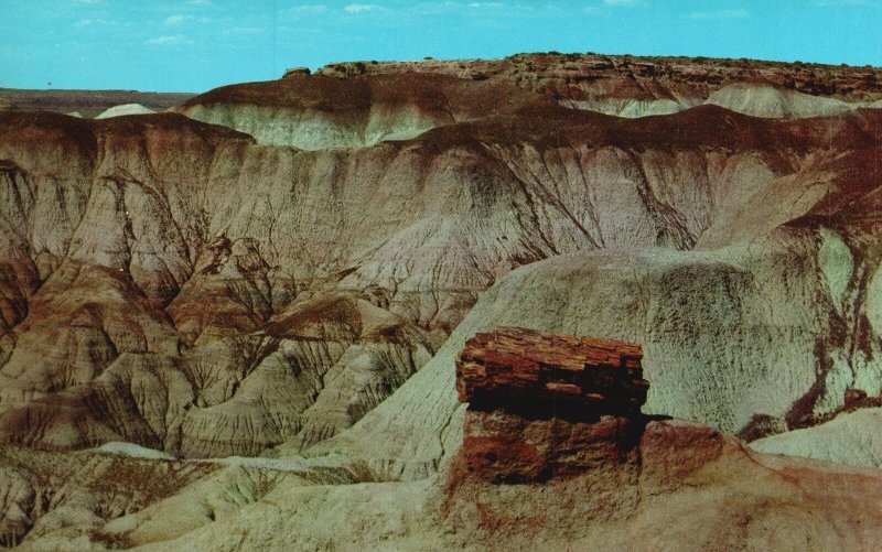 Vintage Postcard Pedestal Log Blue Mesa Petrified Forest Nat'l Monument Arizona