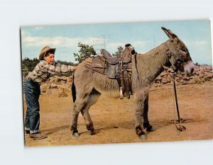 Postcard The Lazy Burro