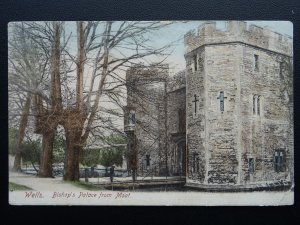 Somerset WELLS Bishops Palace from Moat c1905 Postcard by Frith