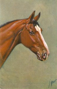J. Rivst.  Horse's Head Old vintage Swiss Postcard
