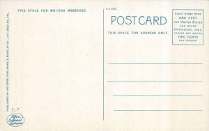 LONG BEACH, California CA   BREAKERS & PIER   Waves~Ocean   ca1910's Postcard