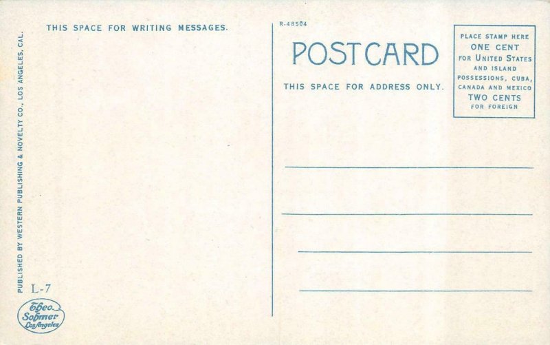 LONG BEACH, California CA   BREAKERS & PIER   Waves~Ocean   ca1910's Postcard