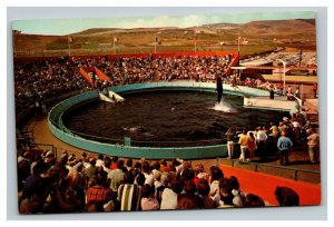 Vintage 1960's Postcard Whale Show at Marineland of the Pacific Palos Verdes CA