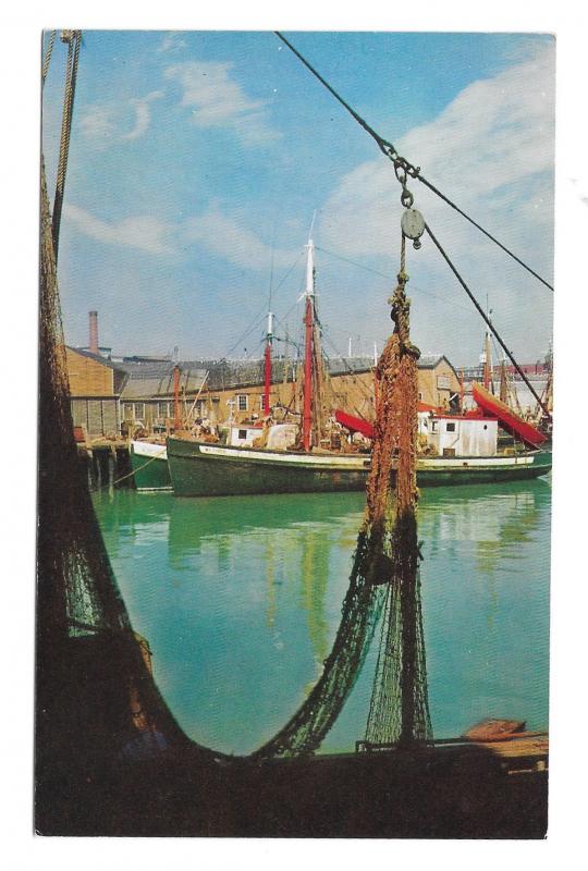 Gloucester Waterfront Cape Ann MA Portugese Seine Fishing Fleet Postcard