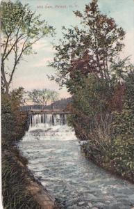 New York Poland Mill Dam 1908