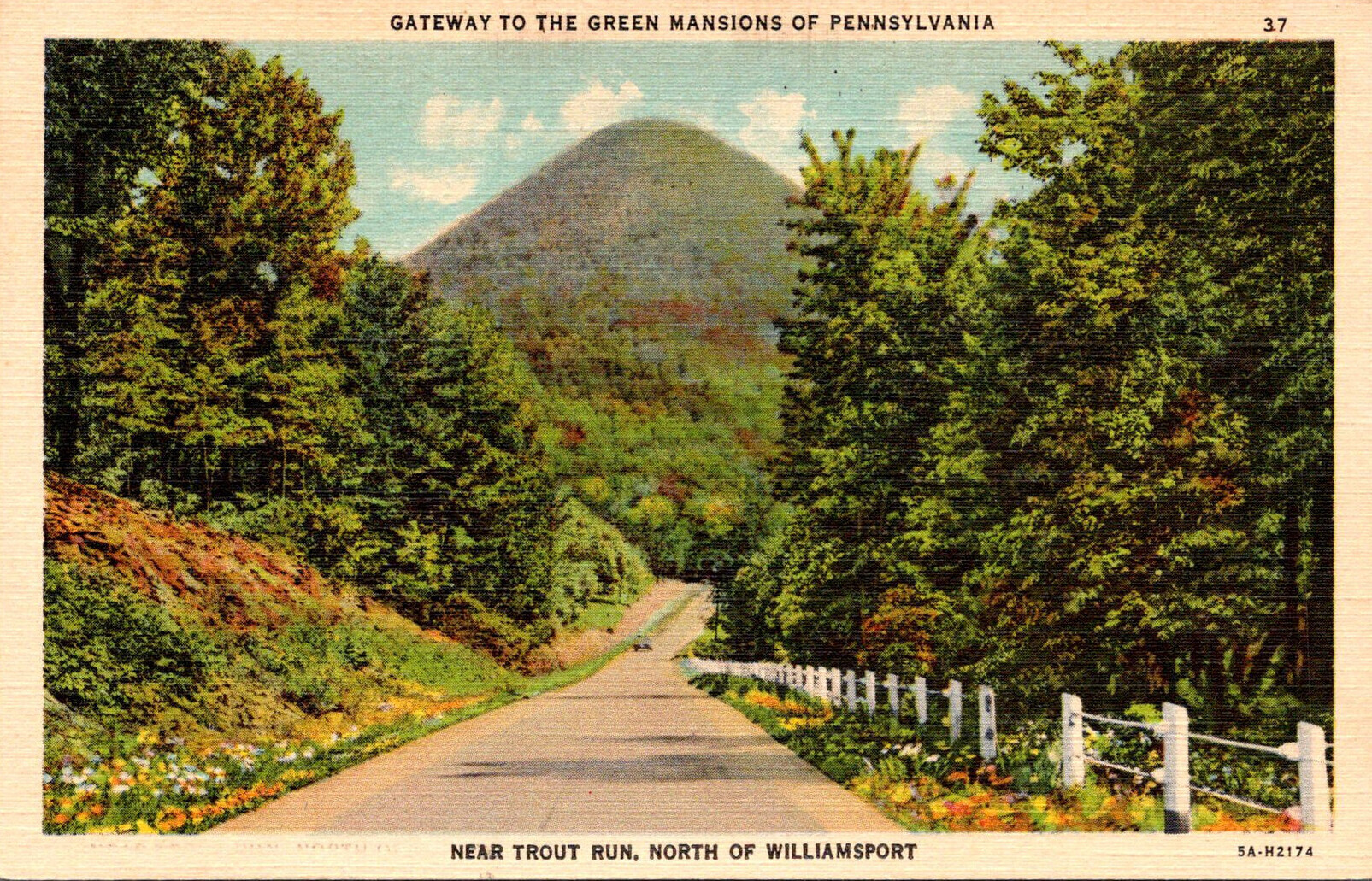 Pennsylvania Williamsport Near Trout Run Gateway To The Green Mansions