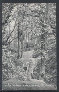 Sussex Postcard - Ecclesbourne Glen, Hastings   T8723