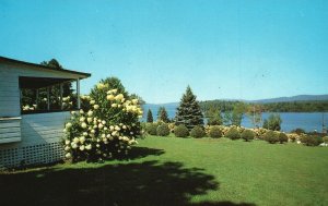 Postcard Bungalo Village Cottage Beautiful Newfound Lake Bristol New Hampshire