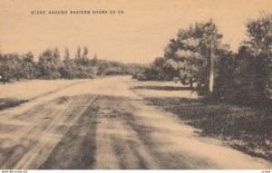 Scene Around Eastern Shore of VIRGINIA, 1900-10s