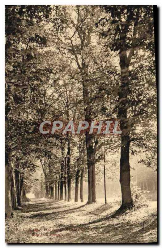 VINTAGE POSTCARD Park of St Cloud