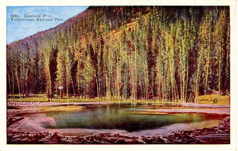 WY - Yellowstone National Park. Emerald Pool