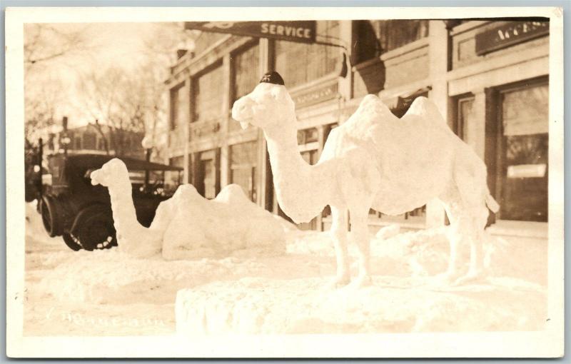 SNOW CAMELS ANTIQUE REAL PHOTO POSTCARD RPPC BANGOR MAINE