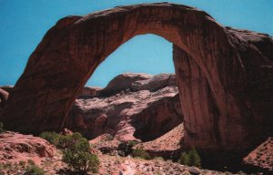 Postcard Rainbow Bridge National Monument Northeast Glen Canyon Dam Utah UT