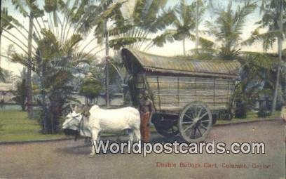 Double Bullock Cart Colombo Ceylon, Sri Lanka Unused 