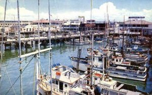 Fishermans Wharf - San Francisco, California CA  