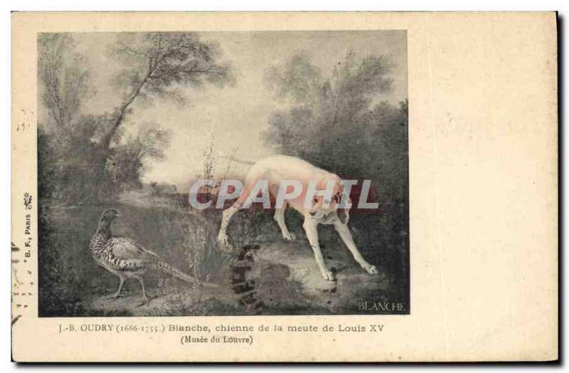 Old Postcard White Oudry Hunting dog from the pack of Louis XV Louvre Museum ...