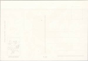 Great Blue Turaco African Birds Series Bird Violet Crested Unused Postcard C1