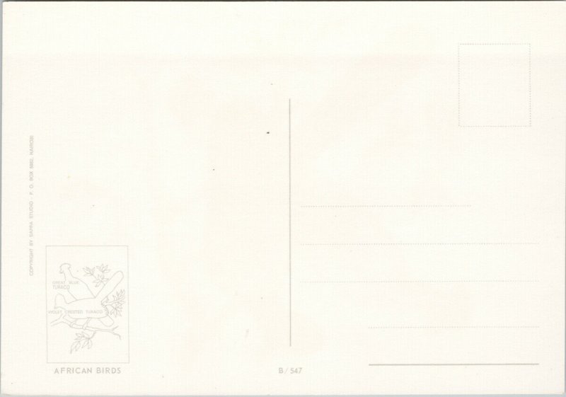 Great Blue Turaco African Birds Series Bird Violet Crested Unused Postcard C1