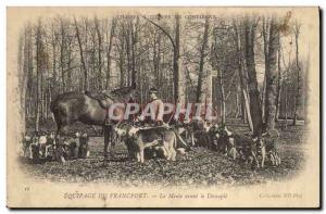 Old Postcard Hunting hounds Crew has the Francport The pack before liquidatio...