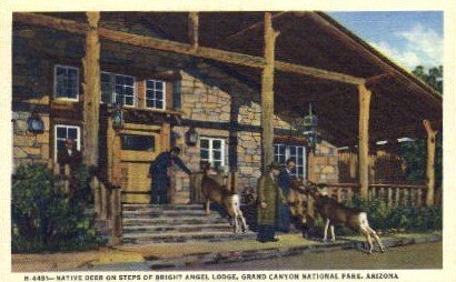 Bright Angel Lodge - Grand Canyon National Park, Arizona AZ