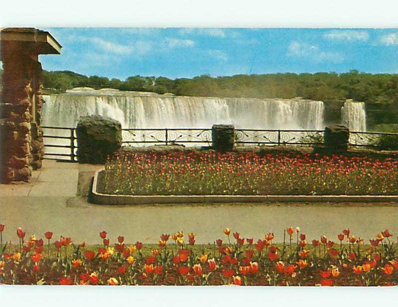 Vintage Post Card KN41 Tulips American Niagra Falls  Canada  # 3882