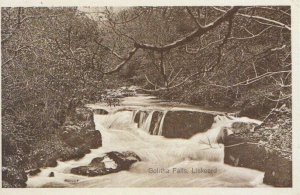 Cornwall Postcard - Golitha Falls - Liskeard - Ref TZ6148