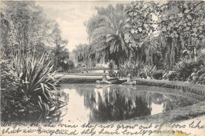 br104541 botanic gardens  sidney real photo australia