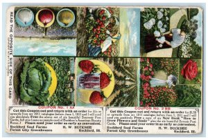 1911 HW Buckbee Seeds Plants Rockford Illinois IL Multiview Antique Postcard