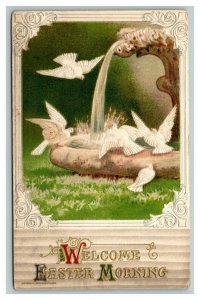 Vintage 1911 Winsch Easter Postcard Doves Drinking Beautiful Fountain